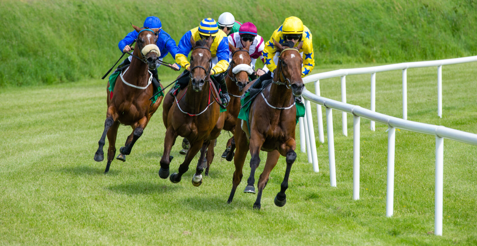Recent Developments in the H-2B Visa Program and the Impacts on Horseracing Industry in the United States