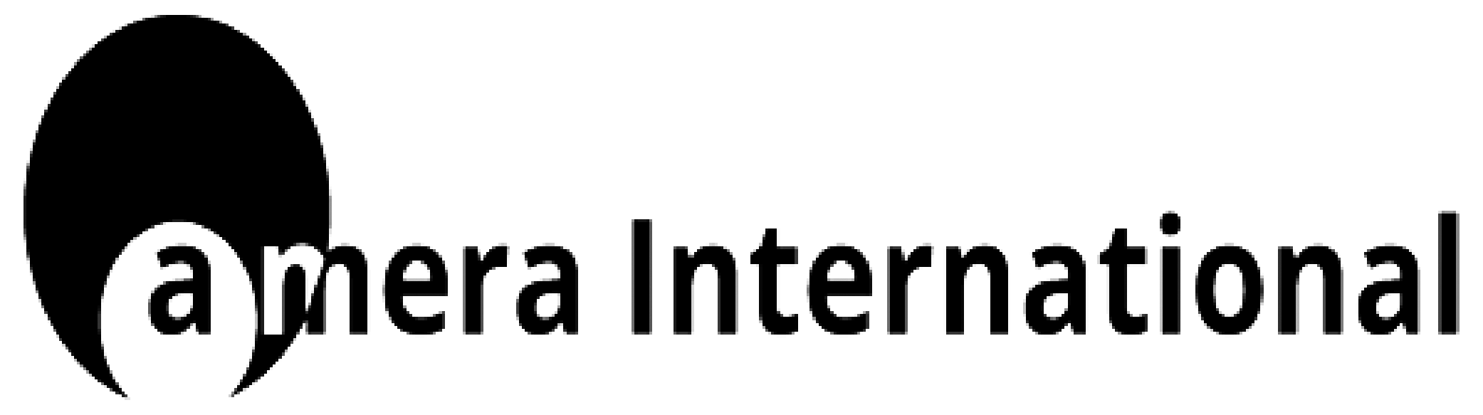 Amera International Logo Larger